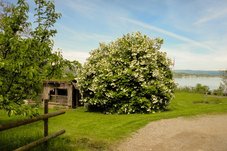 Jochental Steckborn - Wunderschöner Garten mit Aussicht